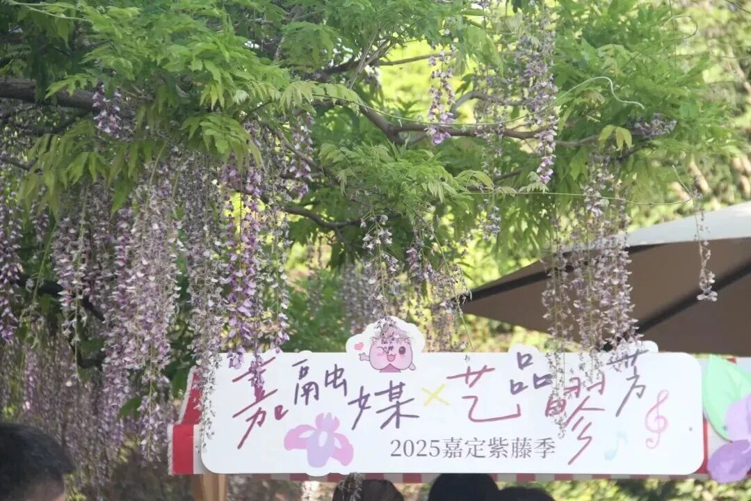 核心期刊首次发表！深度聚焦这一发展成效