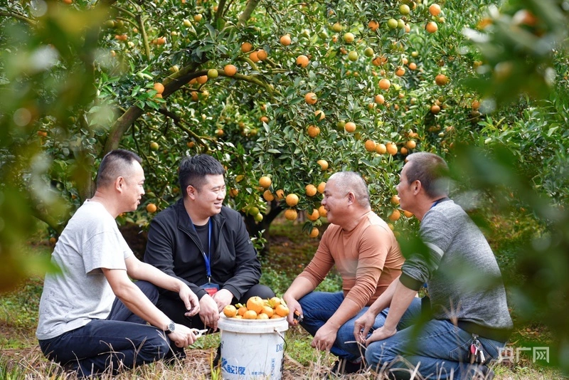 福建清流：干部培养新机制 激活发展新动能