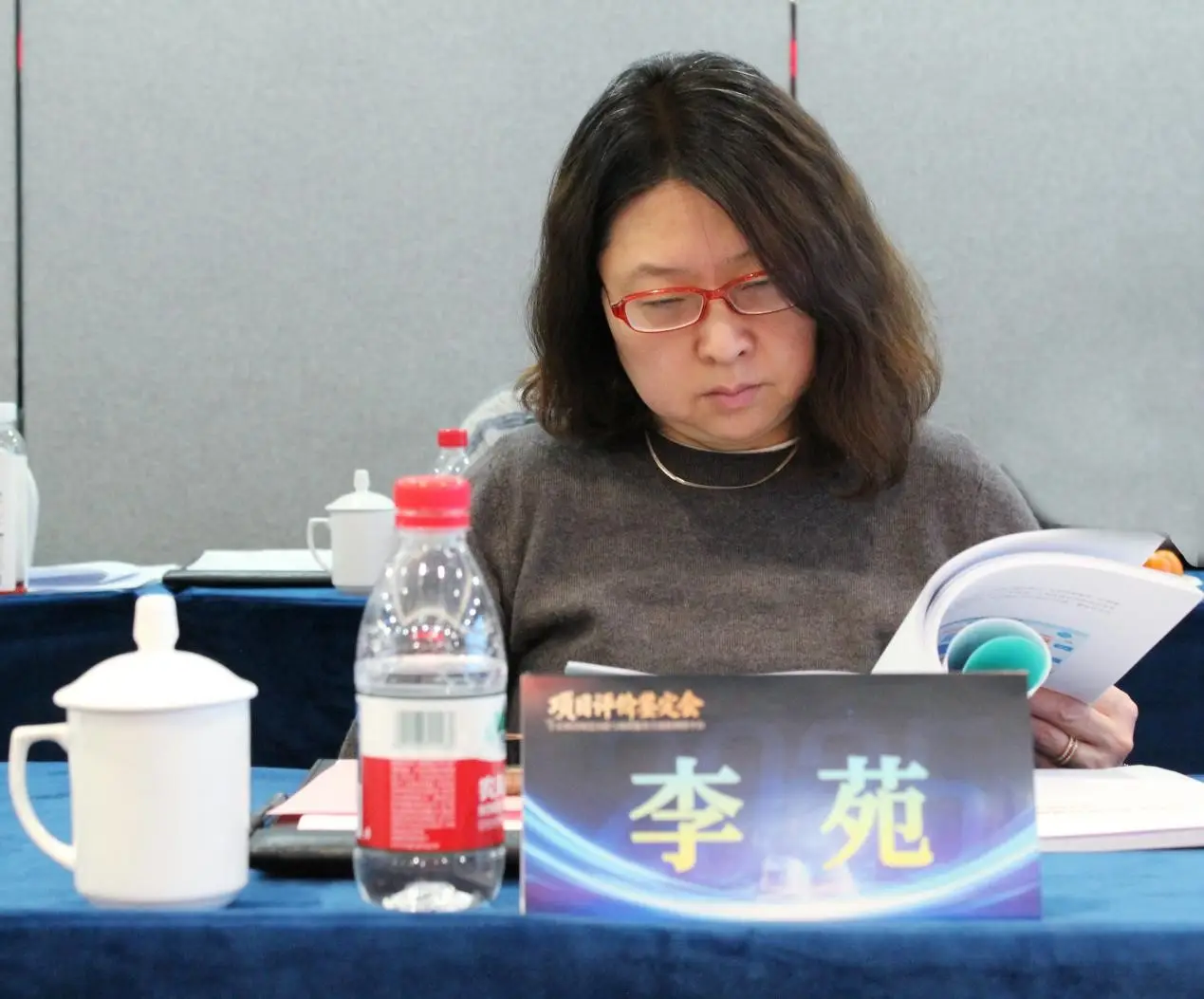 “学术期刊规范出版与知识服务全流程网络平台” 通过专家评鉴