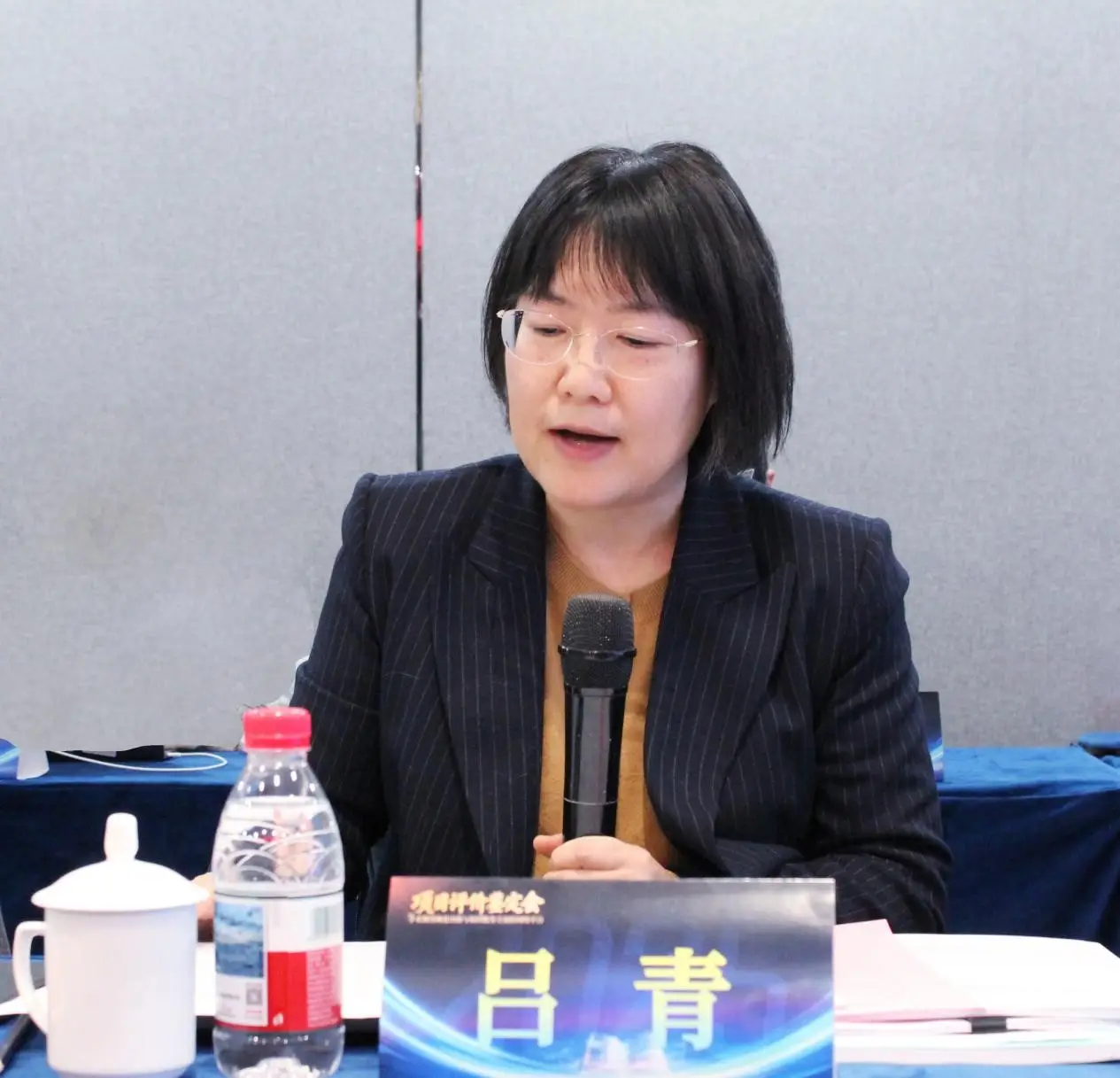 “学术期刊规范出版与知识服务全流程网络平台” 通过专家评鉴