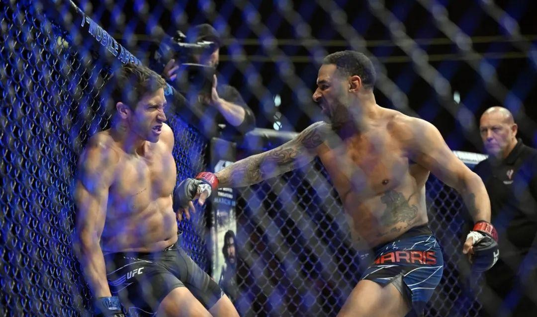 7部今年上映的高分动作猛片，尺度炸裂，全程无尿点！