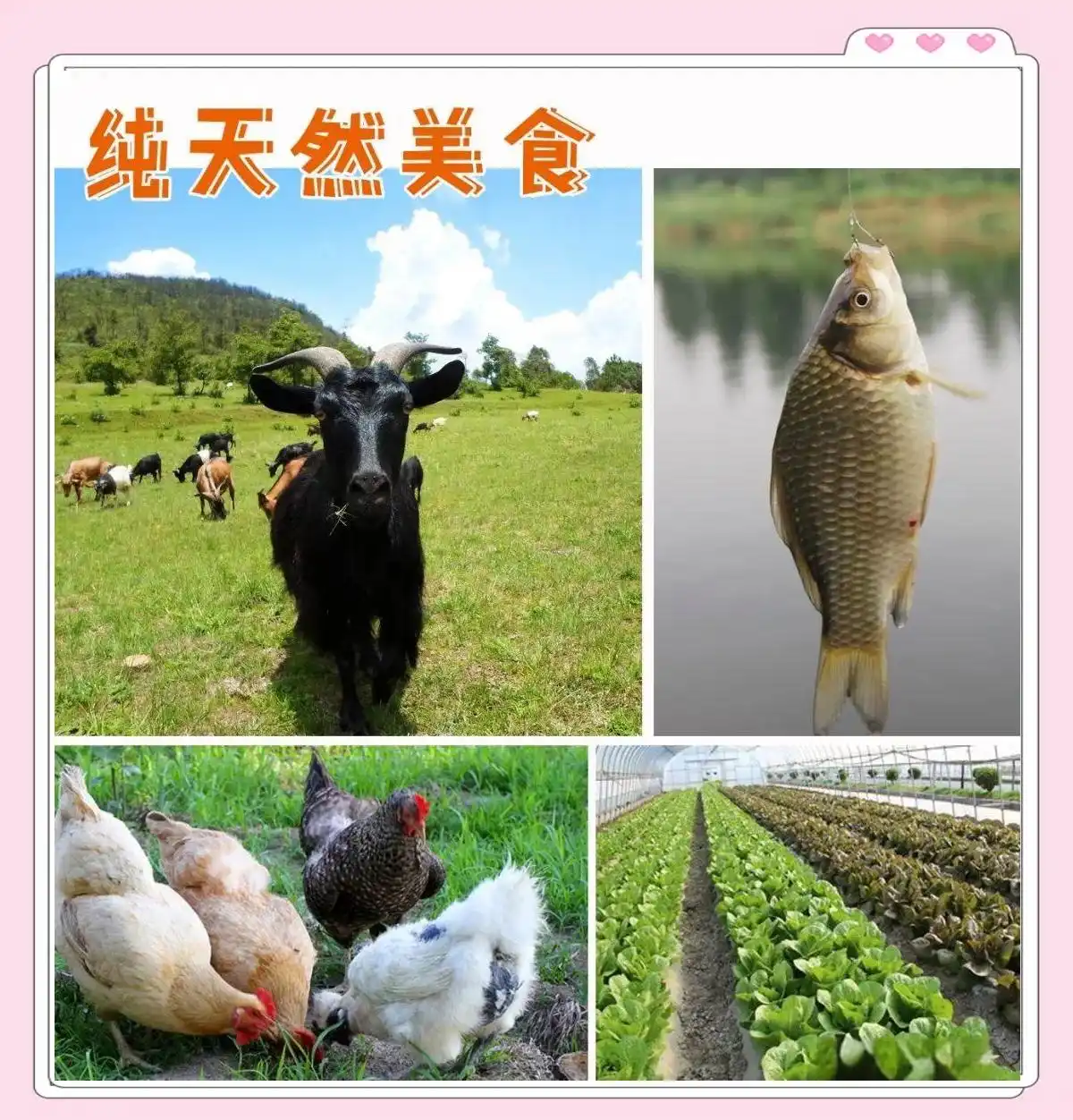 株洲一日游：九郎山与大京风景区的绝美体验