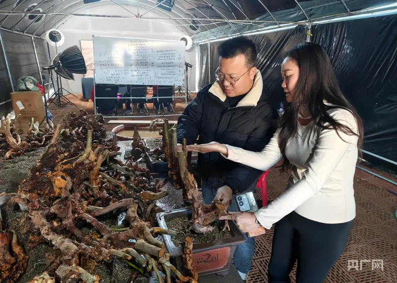 福建清流：干部培养新机制 激活发展新动能