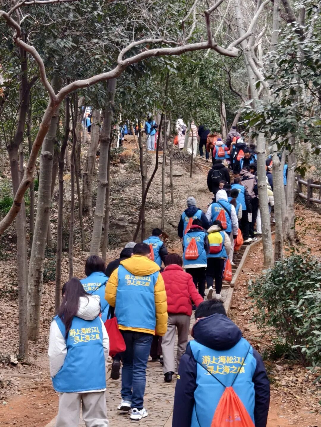 双山联动，共启新元：数千市民游客在“上海之根”登高迎新