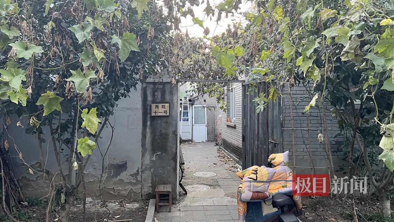 探访杨振宁儿时生活的清华园旧居：院落与杨振宁几乎同龄，有人专程凭吊