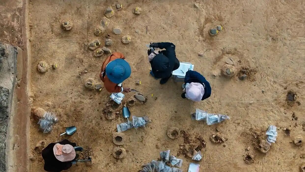 2025值得细品十部纪录片:王一博、陈其钢、斯科塞斯在列