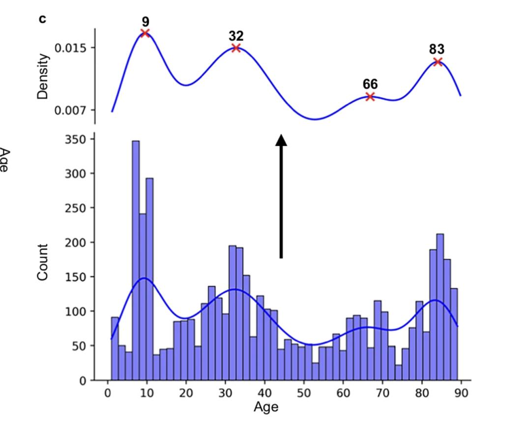 别急，青春期到 32 岁才结束！大脑的一生有 4 次关键转折点