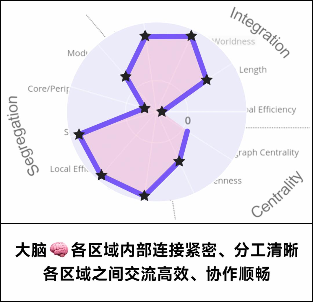 别急，青春期到 32 岁才结束！大脑的一生有 4 次关键转折点