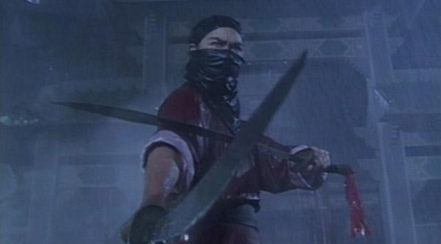 亚视经典武打剧《洪熙官》：甄子丹担任武术顾问，张家辉演方世玉