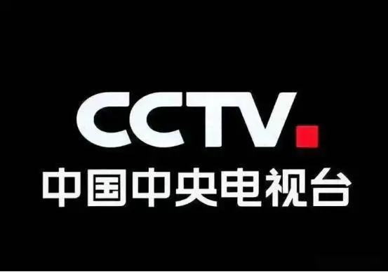 11个美女，是央视各频道的“当家花旦”，“六公主”尤其性感