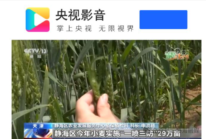 【我们村里有宝藏】乡村养老、智能农业、就业驿站、传承红色精神，这一周静海聚焦这些主题！