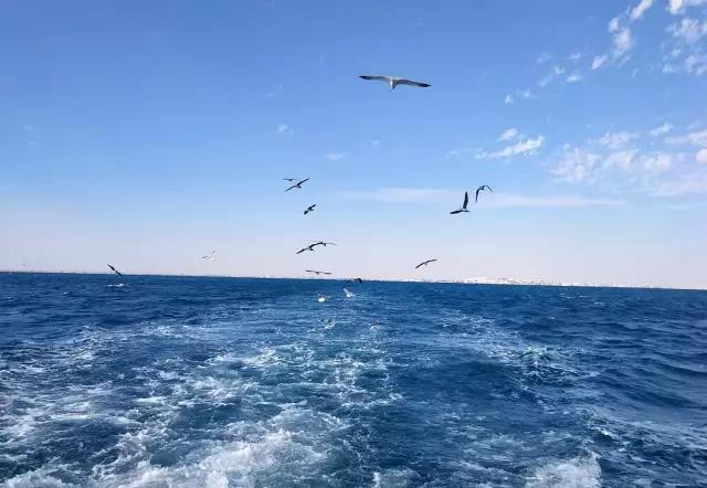 埃及游记- 飞越7000公里,只为遇见你