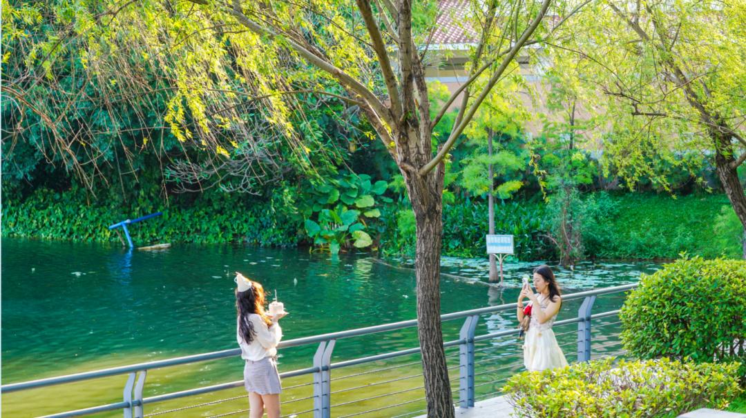 讲真，就爱这样的广州