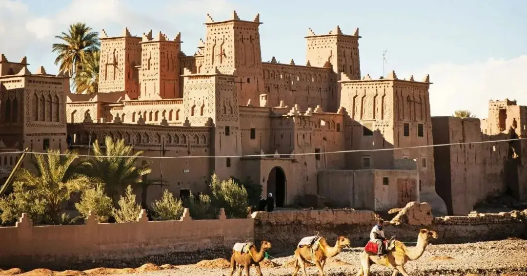 非洲旅游行程推荐—埃及和阿尔及利亚旅游行程攻略，解锁北非多元风情