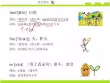 如何快速记忆单词, 英语单词记忆速记法