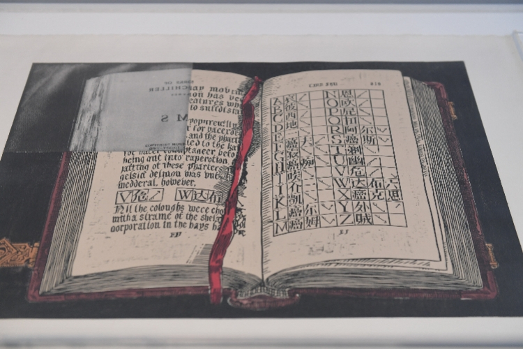 徐冰：以蜻蜓之眼看“世界图像”