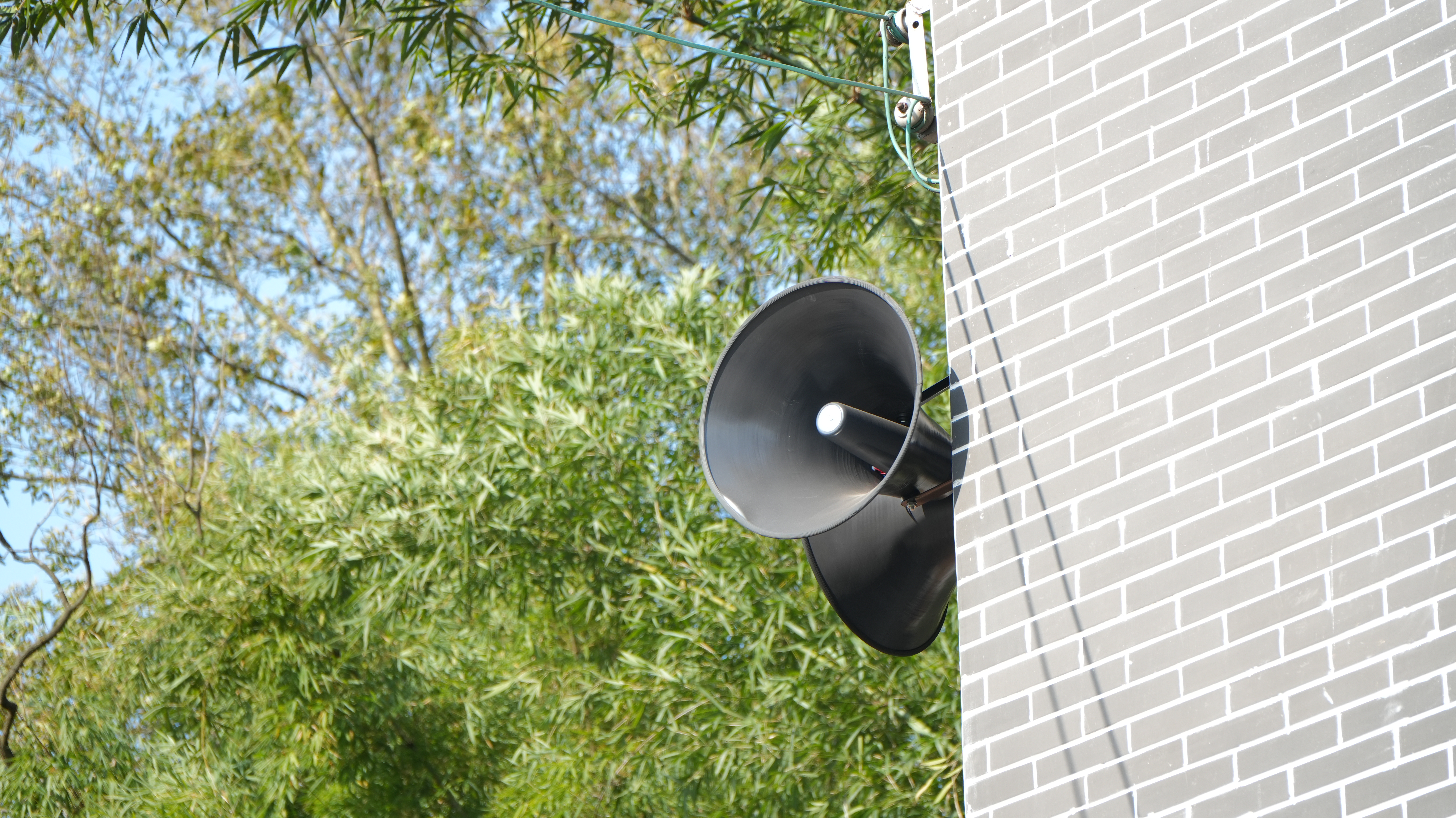 文章来源：犍为县