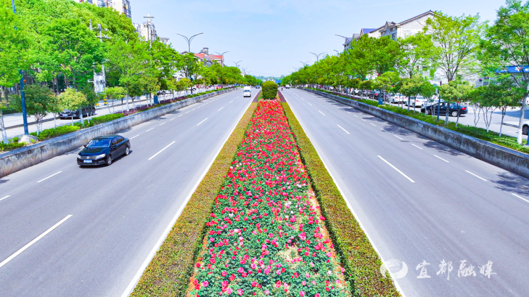 我们的“十四五” | 这些数字，藏着宜都人的幸福！