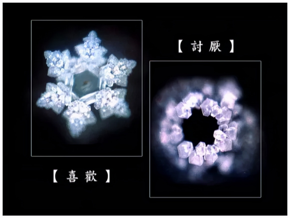 《水知道答案》:对水说些好话,体验它带给你的强大疗愈力
