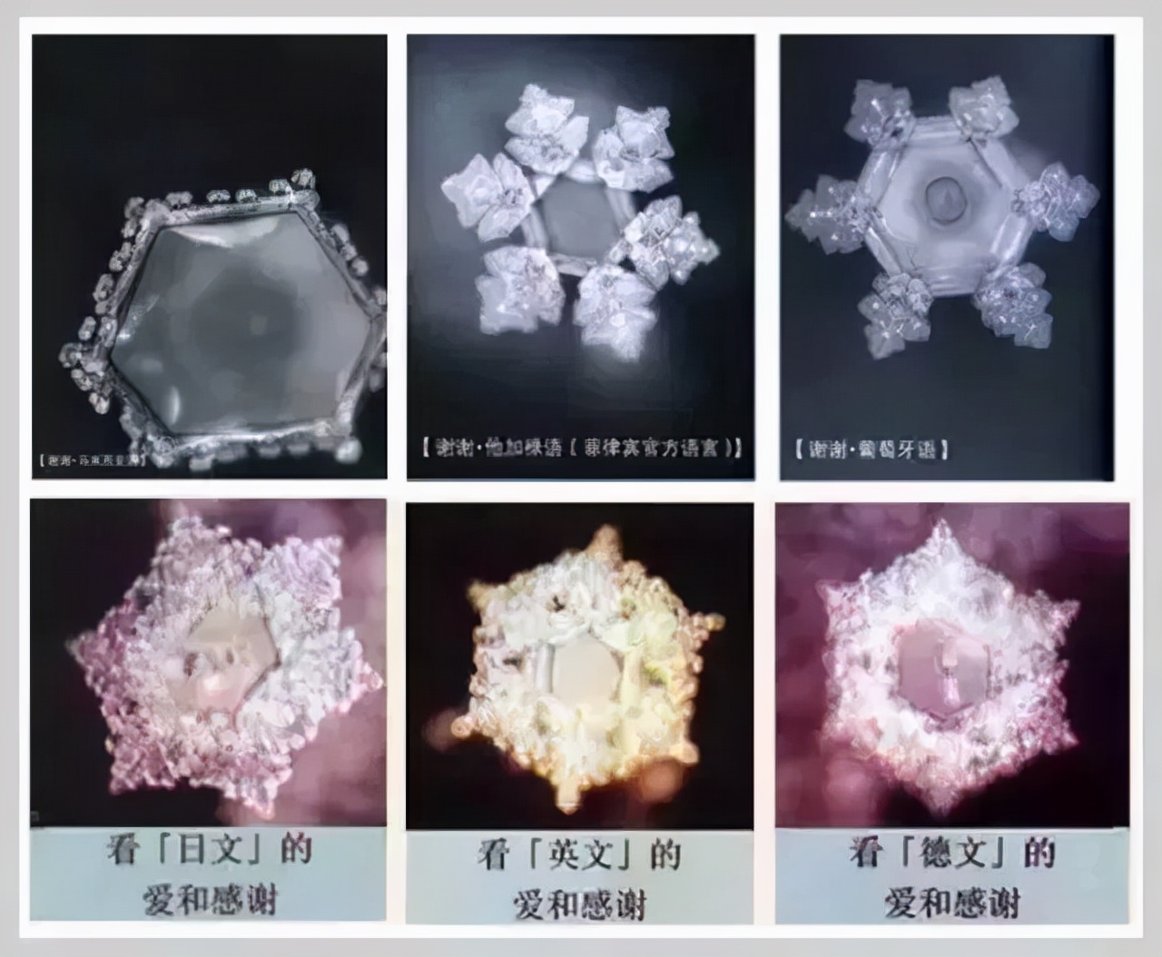 《水知道答案》:对水说些好话,体验它带给你的强大疗愈力