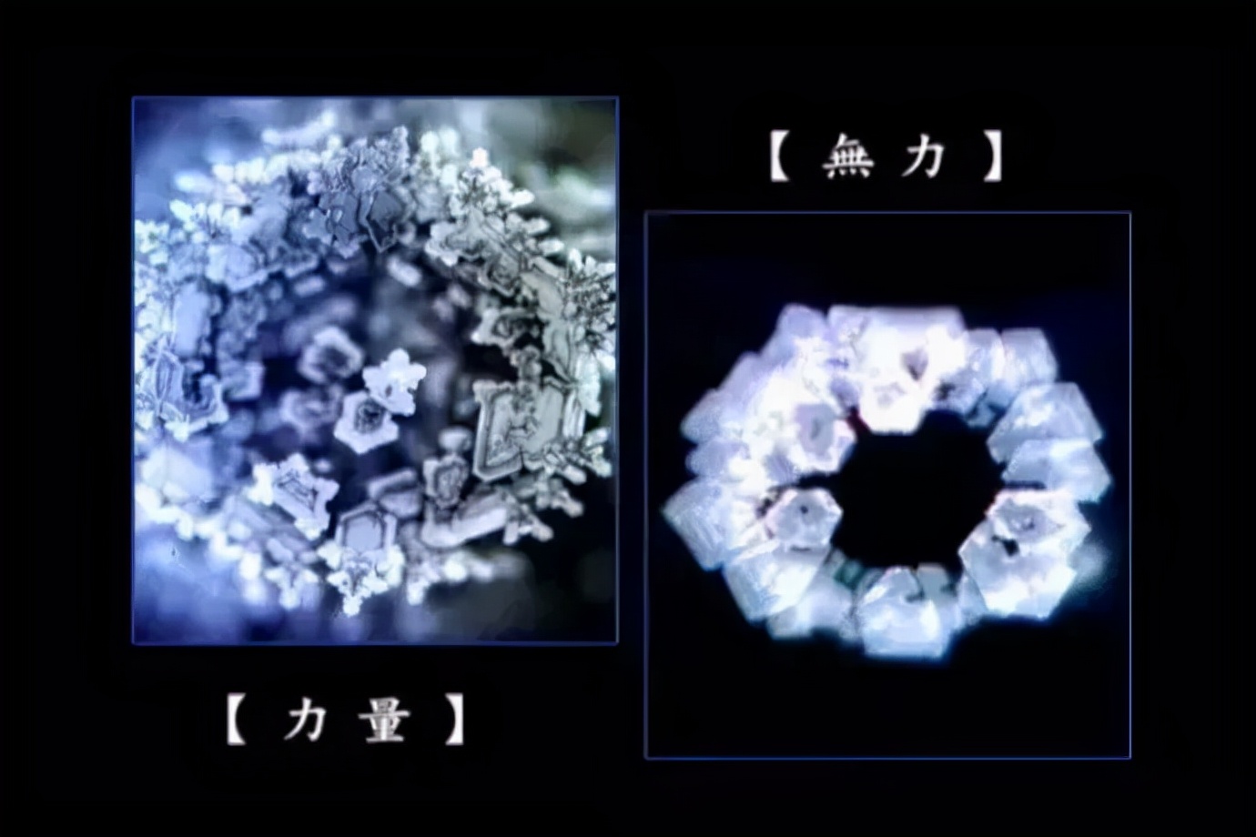 《水知道答案》:对水说些好话,体验它带给你的强大疗愈力