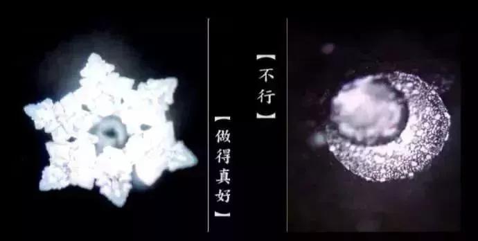 《水知道答案》:对水说些好话,体验它带给你的强大疗愈力