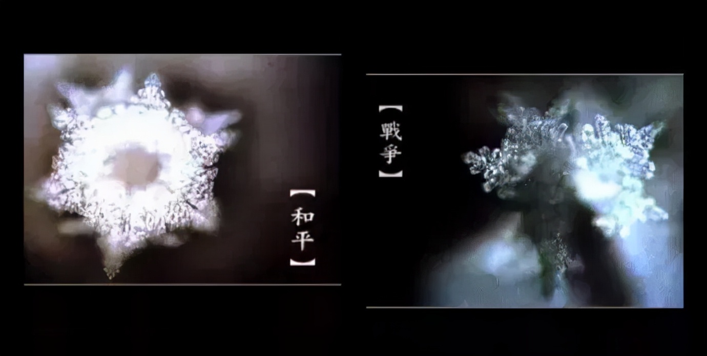 《水知道答案》:对水说些好话,体验它带给你的强大疗愈力