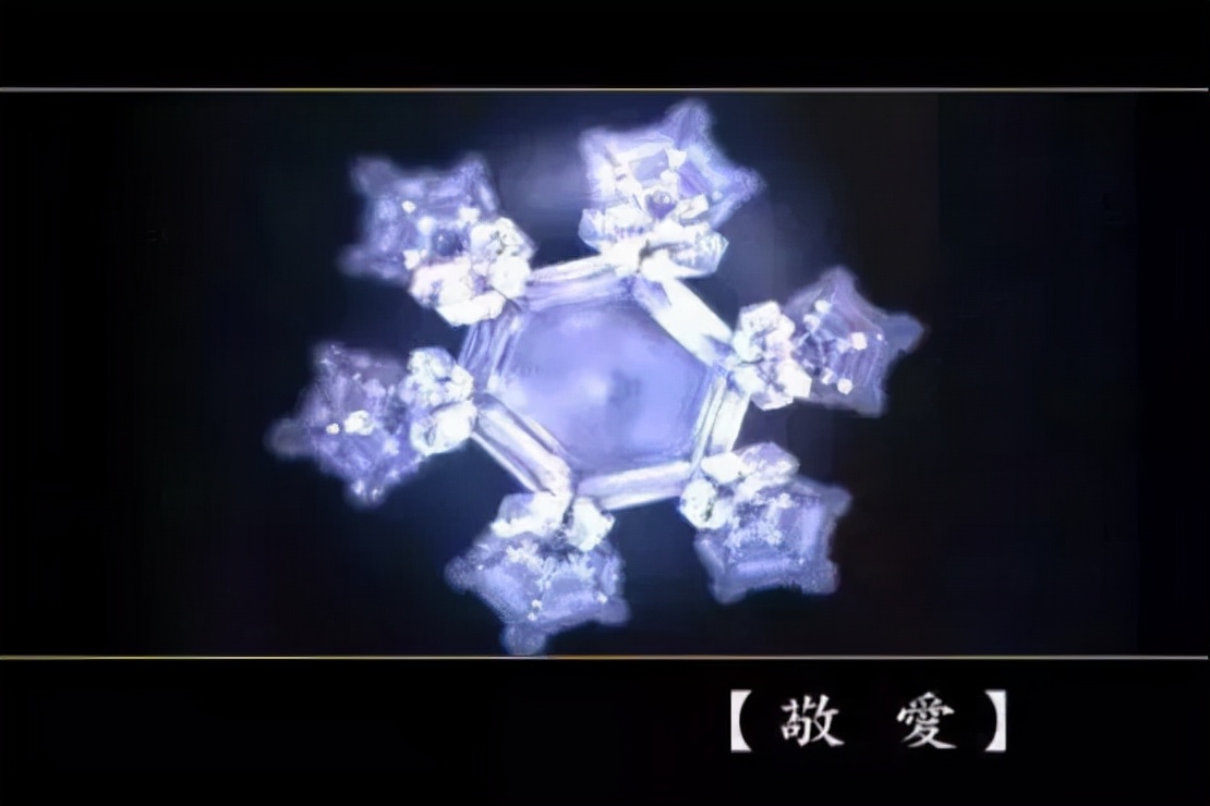 《水知道答案》:对水说些好话,体验它带给你的强大疗愈力