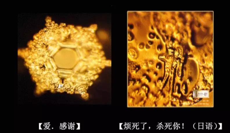 《水知道答案》:对水说些好话,体验它带给你的强大疗愈力