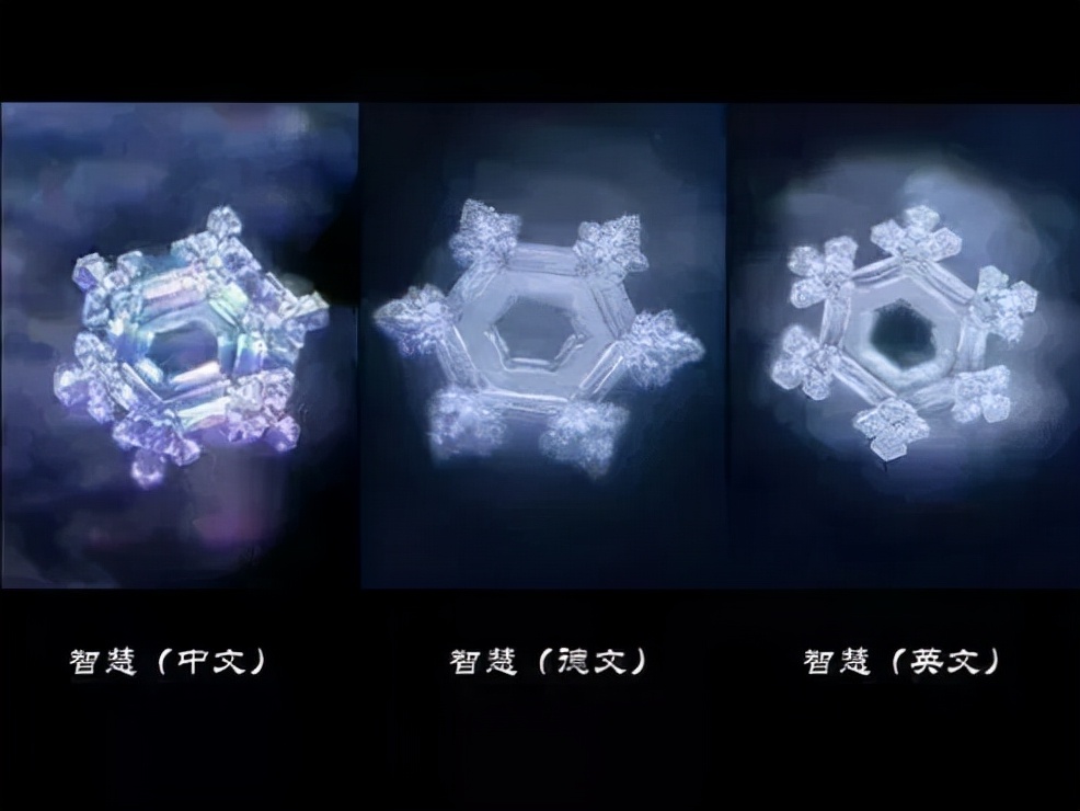 《水知道答案》:对水说些好话,体验它带给你的强大疗愈力