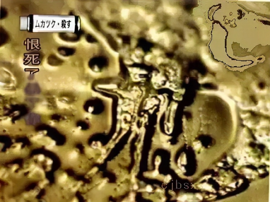 《水知道答案》:对水说些好话,体验它带给你的强大疗愈力