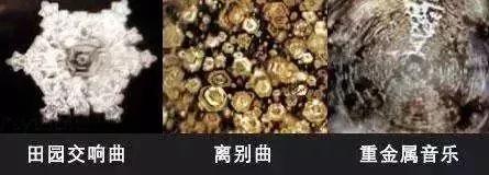 《水知道答案》:对水说些好话,体验它带给你的强大疗愈力