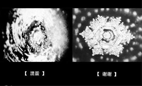 《水知道答案》:对水说些好话,体验它带给你的强大疗愈力