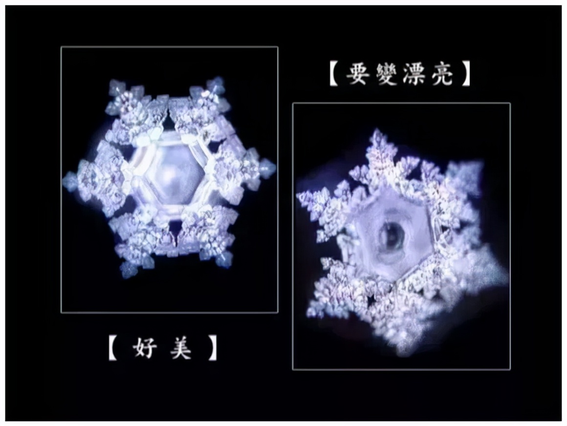 《水知道答案》:对水说些好话,体验它带给你的强大疗愈力