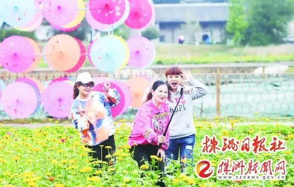 近郊旅游好去处推荐！特色、公交线路都准备好了