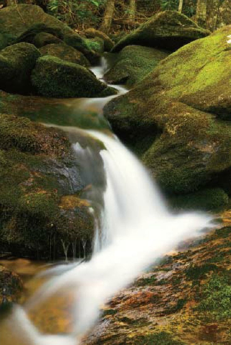 定焦与变焦镜头