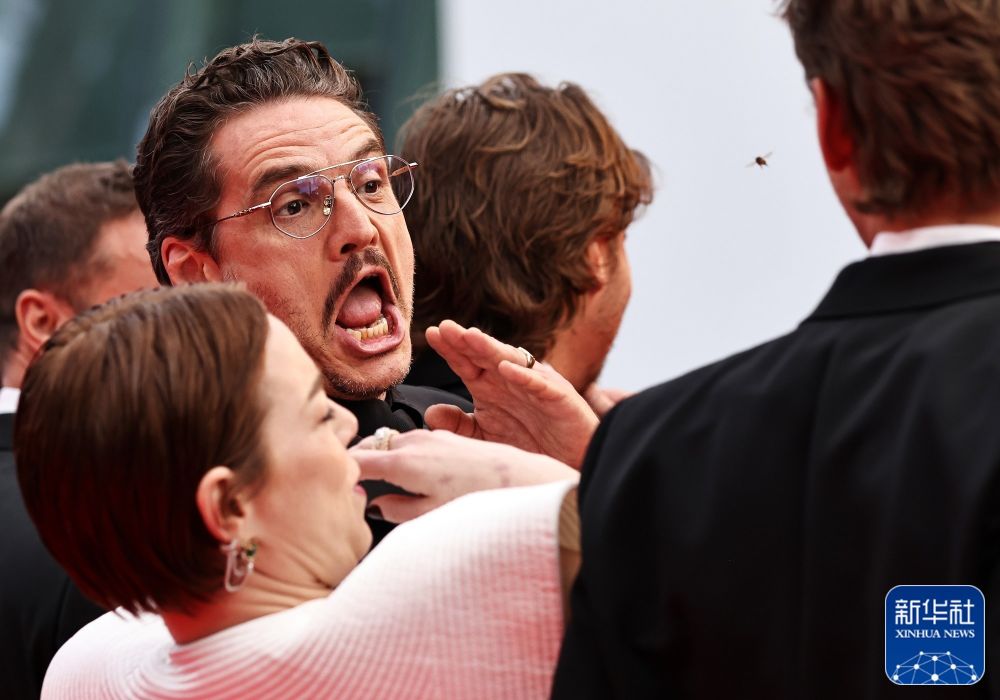 2025年新华社年度照片·国际新闻