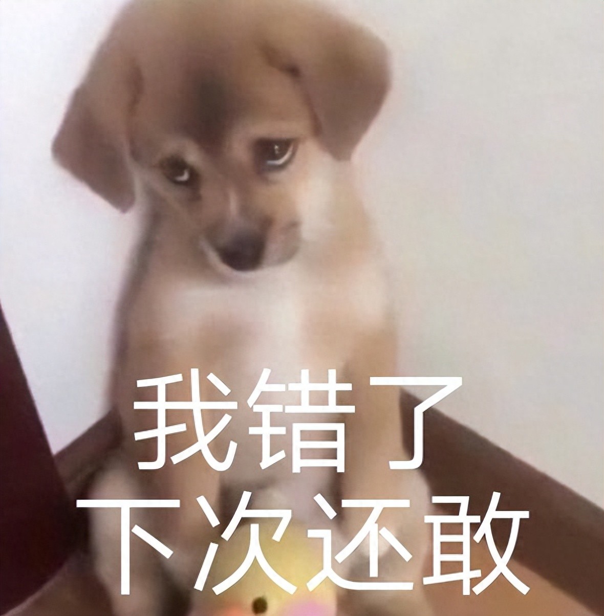 3天50万差评！腾讯《三角洲行动》更新翻车，道歉后玩家依旧不服