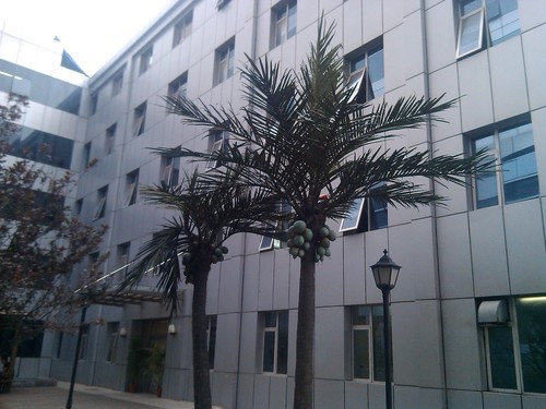 价格"大杀器" 699元双核小辣椒手机评测