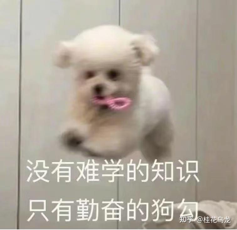 对雅思考试一无所知，该如何高效备考？（雅思考试问题十问十答，雅思备考保姆式攻略）