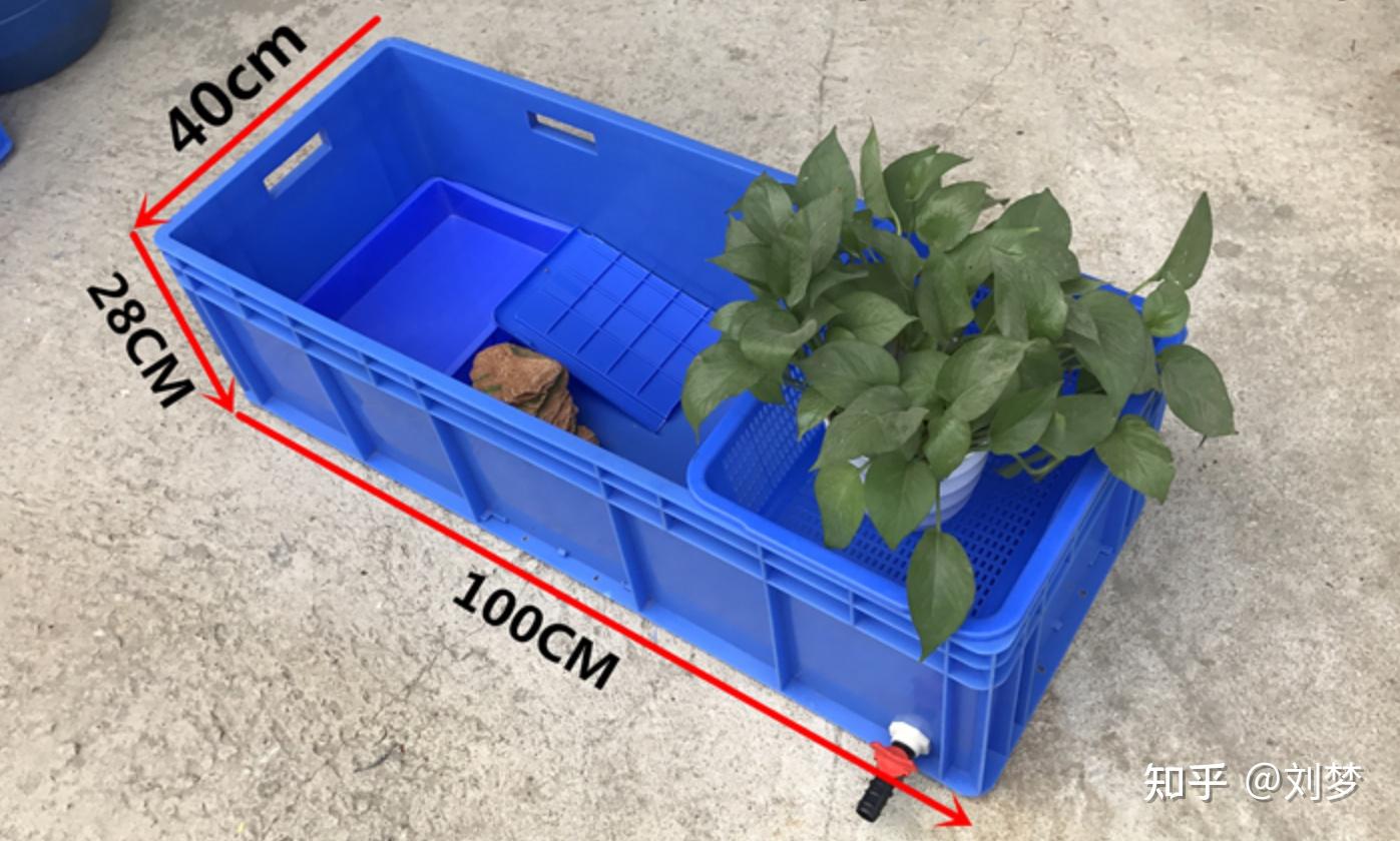 养龟必读：新手养龟入门指南（纯干货）