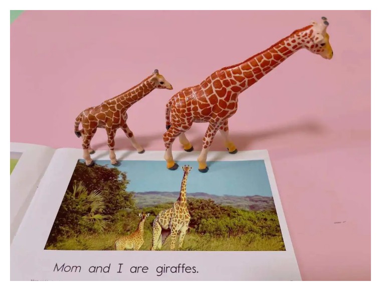 1岁6个月，听懂200多英语单词，妈妈做对了什么？详细经验分享