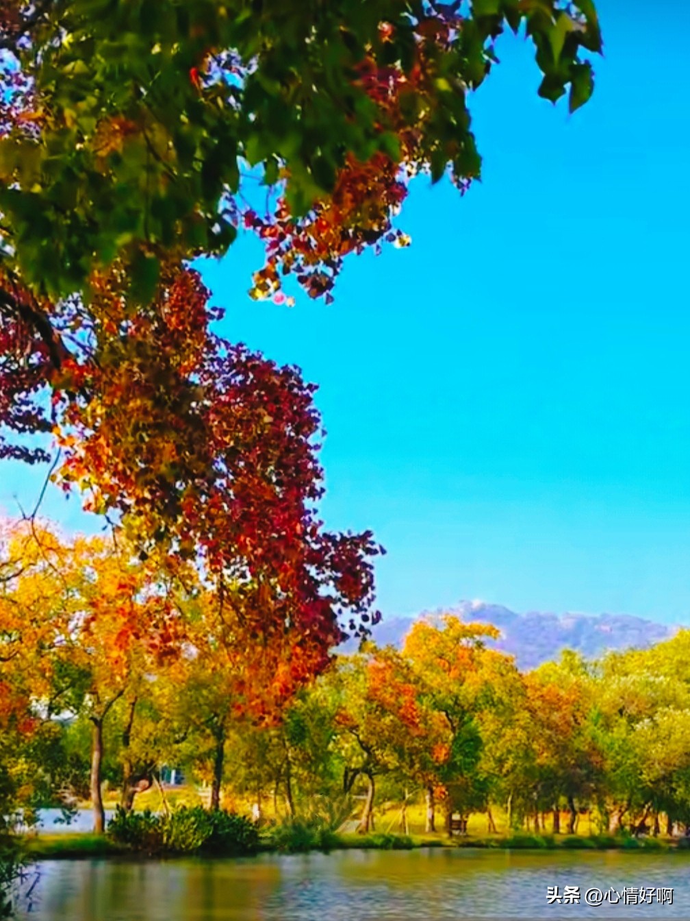 取舍的智慧：不求尽善，但求心安