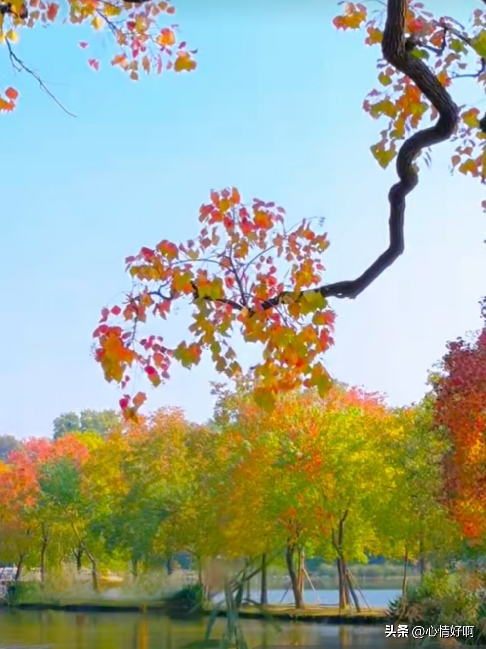 取舍的智慧：不求尽善，但求心安