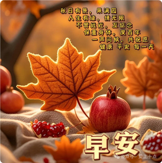 今日最新版早上好表情图片大全,金秋岁月,平安幸福