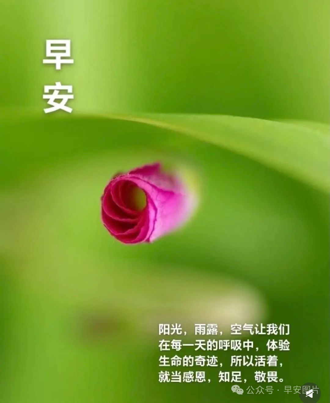 今日最新版早上好表情图片大全,金秋岁月,平安幸福