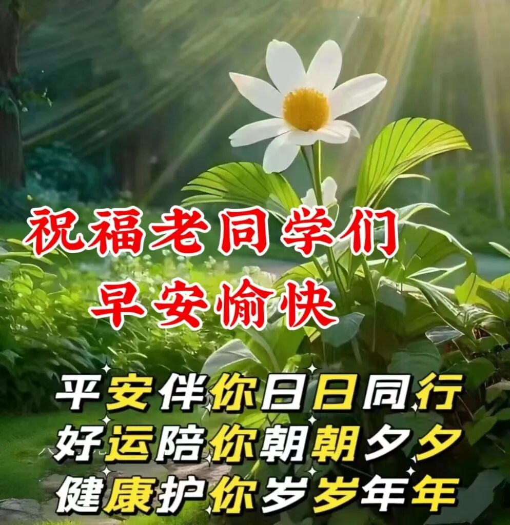 今日最新早安早上好精选图片，吉祥如意，健康快乐！