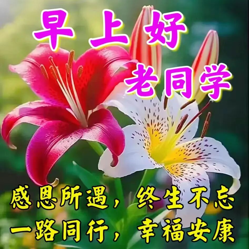 今日最新早安早上好精选图片，吉祥如意，健康快乐！