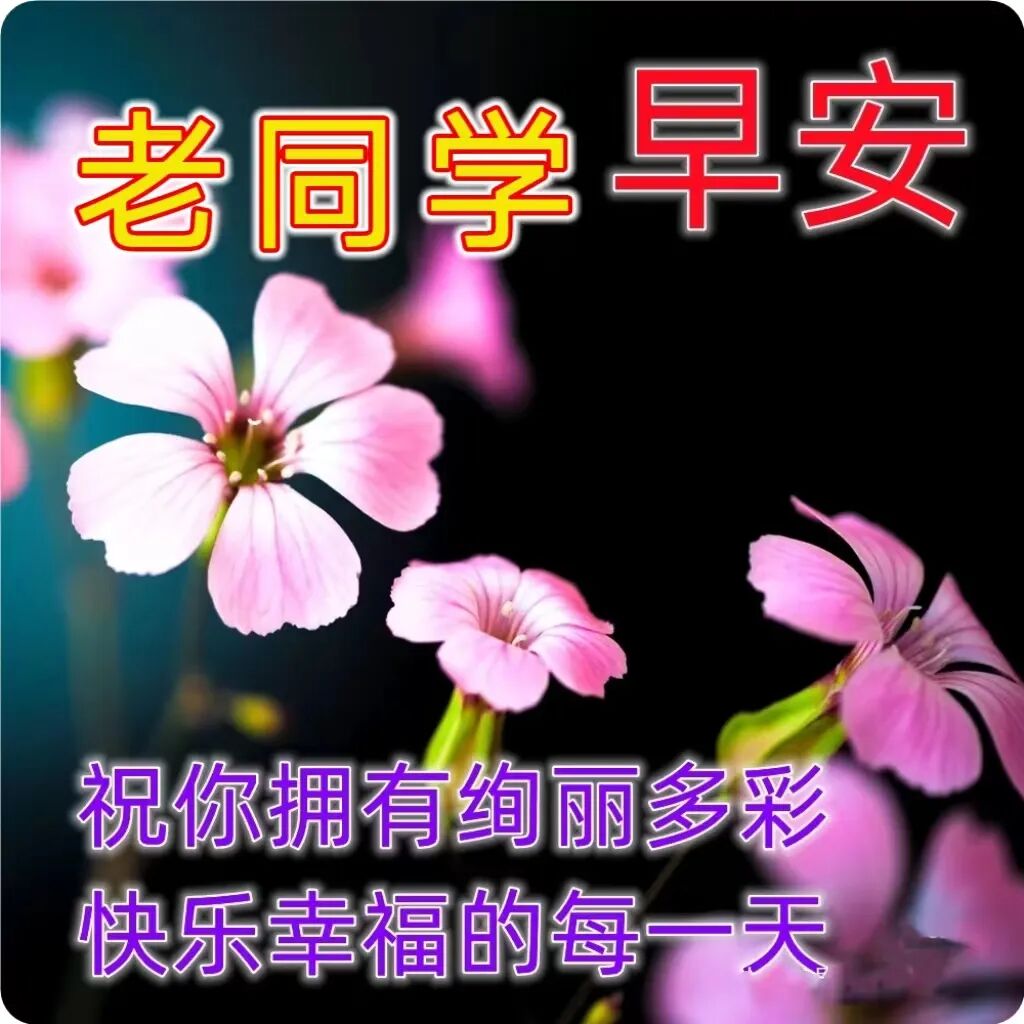 今日最新早安早上好精选图片，吉祥如意，健康快乐！