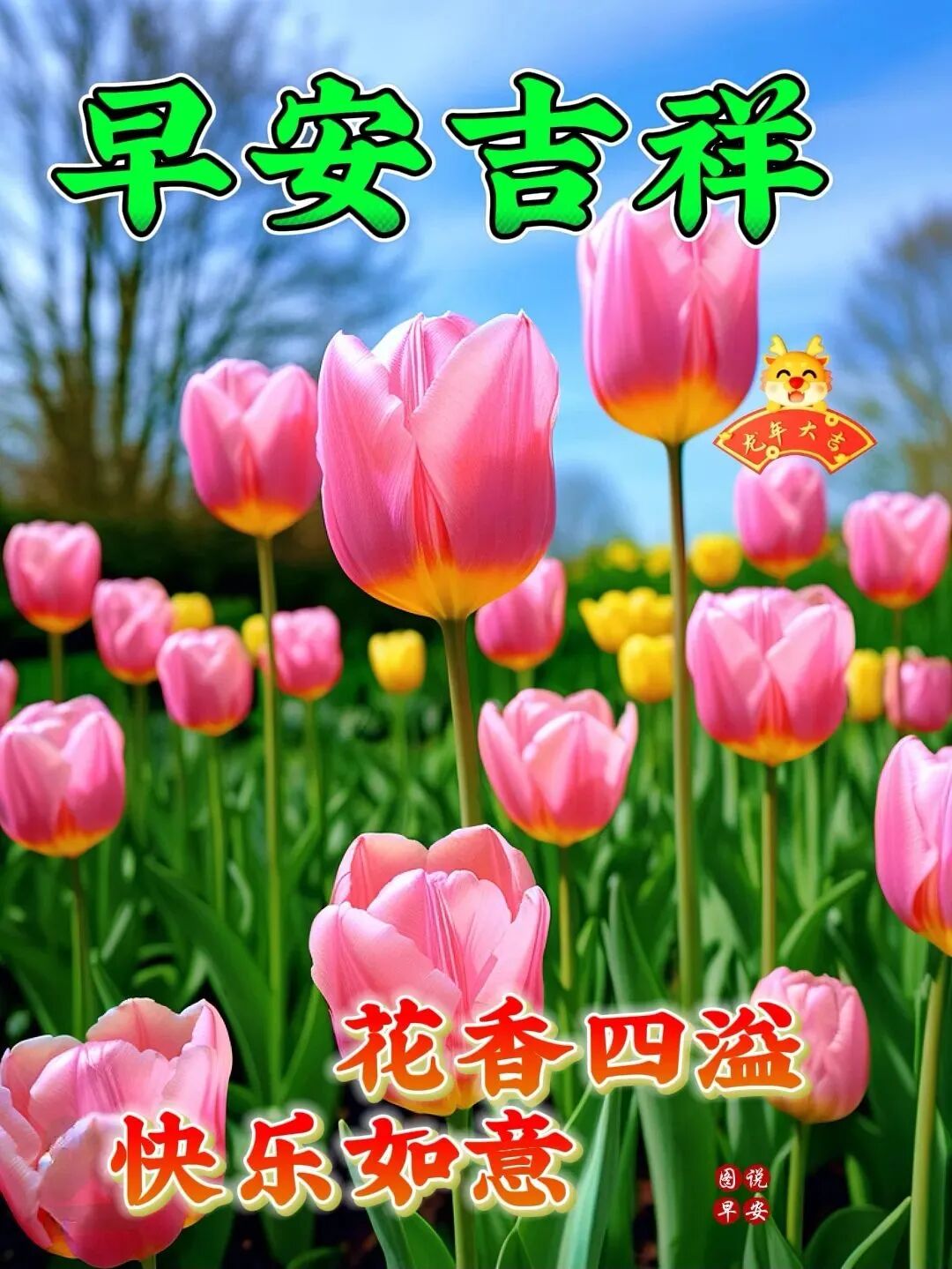 16张早安图片表情包！早上好祝福问候图片！早安吉祥愉快！